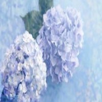 生活很苦，还好你甜。那些支撑着留学生幸福感的它们~你至少有一件！