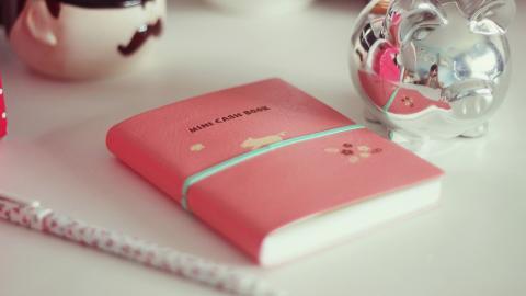 【PTE阅读】PTE阅读模拟题：极光景观