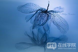 PTE考试地图题让好多同学头疼，主要有哪些原因？