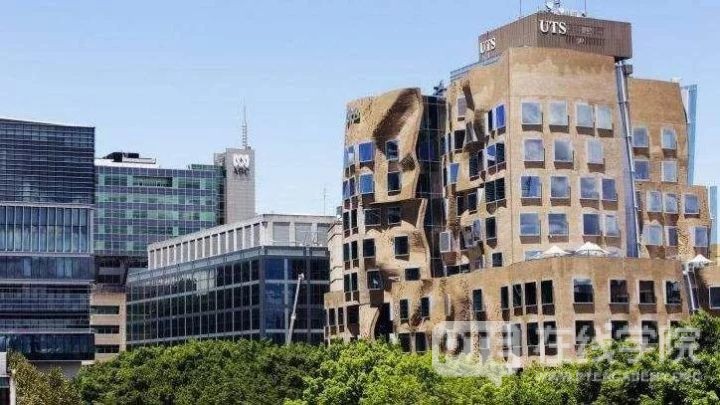 澳洲大学最容易秃头的Top10专业，你喜欢的上榜了吗！