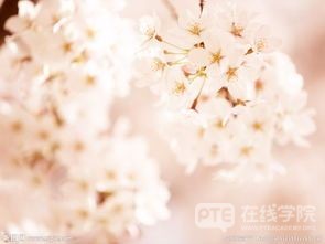 PTE口语怎么养成标准的发音？