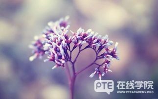 澳洲留学一年要花多少钱？