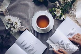 赴澳人数中国数第一，顺利下签的几率却不理想