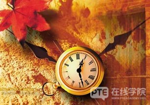 赴澳人数中国数第一，顺利下签的几率却不理想