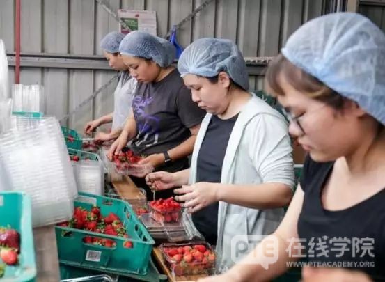 澳洲突然改变签证方案，欲扩大这一签证数量，最长时间可达三年！