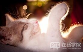 最新澳洲留学费用盘点，原来都花在这些事情上了！
