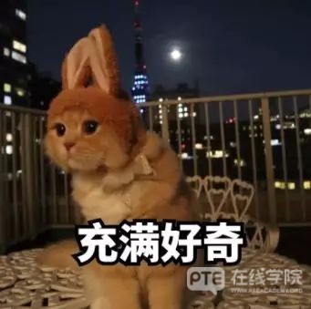 PTE奋斗的路上，归来仍是少年的你