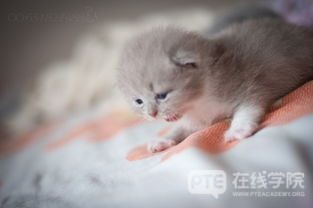 南澳大学2020年奖学金公布，你准备好了吗？