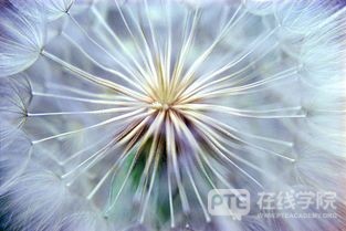 澳大利亚计算机网络安全专业优势