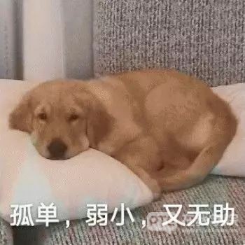 雅思不过不可怕！PTE真的可以过！