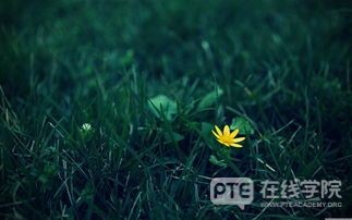 PTE阅读 | RO高频解析（三）
