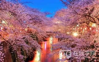 【PTE干货】PTE口语RL高分，你只需要这一篇！