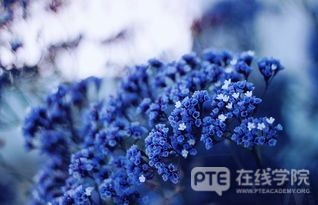 英国生活成本最低城市Top10