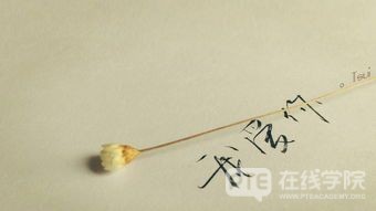 【PTE干货】Summarize Spoken Text 每日练习（三）