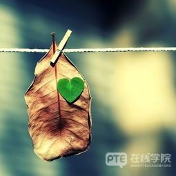 【PTE干货】Summarize Spoken Text 每日练习（三）