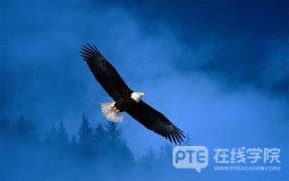 PTE语法必记：名词性从句三大分类