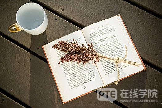 PTE大作文中写essay的必经之路