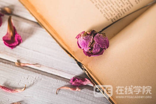PTE题型讲解：写作篇Summarize Written Text技巧