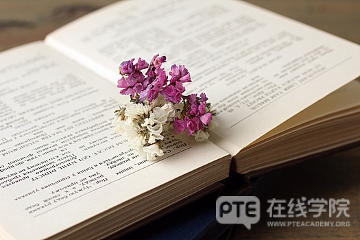 PTE题型讲解：写作篇WE（Write Essay）
