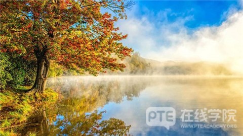 PTE阅读考试高分攻略：你需要掌握这些翻译方法