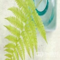 【PTE学术英语考试】PTE考试常见问题解答，萌新不可错过