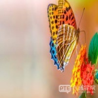 官宣！澳移民局表示：入籍审理时间更新，已加快审理速度！