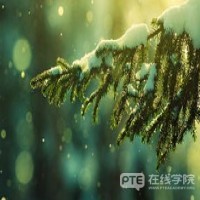 澳洲语言课程都学什么？有什么用？