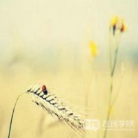 澳洲租房，一些专业词汇必须要了解！