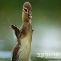 澳洲突然改变签证方案，欲扩大这一签证数量，最长时间可达三年！