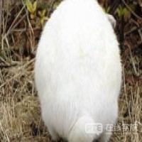 用笔记应对PTE考试，你知道吗?