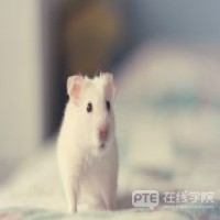 雅思UKVI机考出分时间缩短？PTE五天内一定能出分！