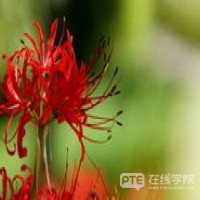 【澳洲签证】中国城市过境免签政策升级！澳籍华人回国探亲福利升级！
