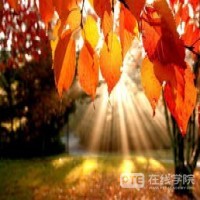 去英国只看排名？不不不！还得看这些！