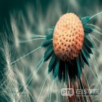 PTE阅读 | RO高频解析（四）
