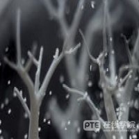 【PTE干货】PTE阅读FIB两种题型，技巧各有不同