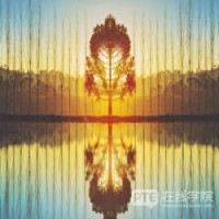 【PTE干货】Summarize Spoken Text 每日练习（三）
