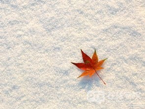 小白必看：PTE口语考试自我介绍计分吗？