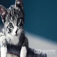 PTE语法必记：名词性从句三大分类