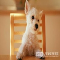 留学签证被拒？原因无非这四个原因！