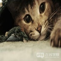 雅思转考PTE首战成功八炸！其实，PTE也不是很难