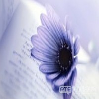 PTE口语分数不高？你用对方法了吗？